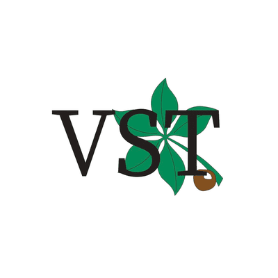 Varsity Sales Team logo